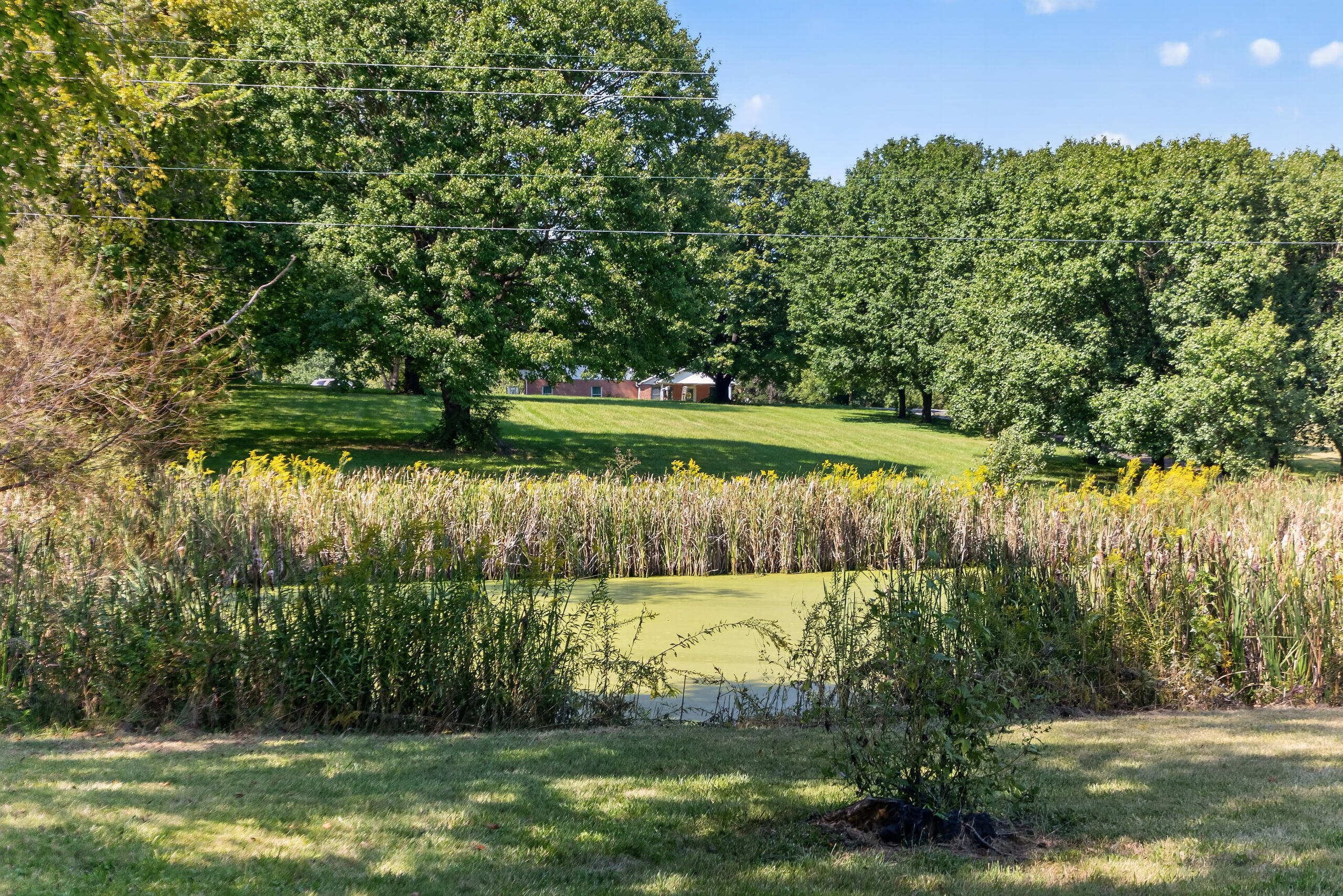 5300 Stewart Road Lexington, KY 40516 - Photo 39 of 45 Private Pond