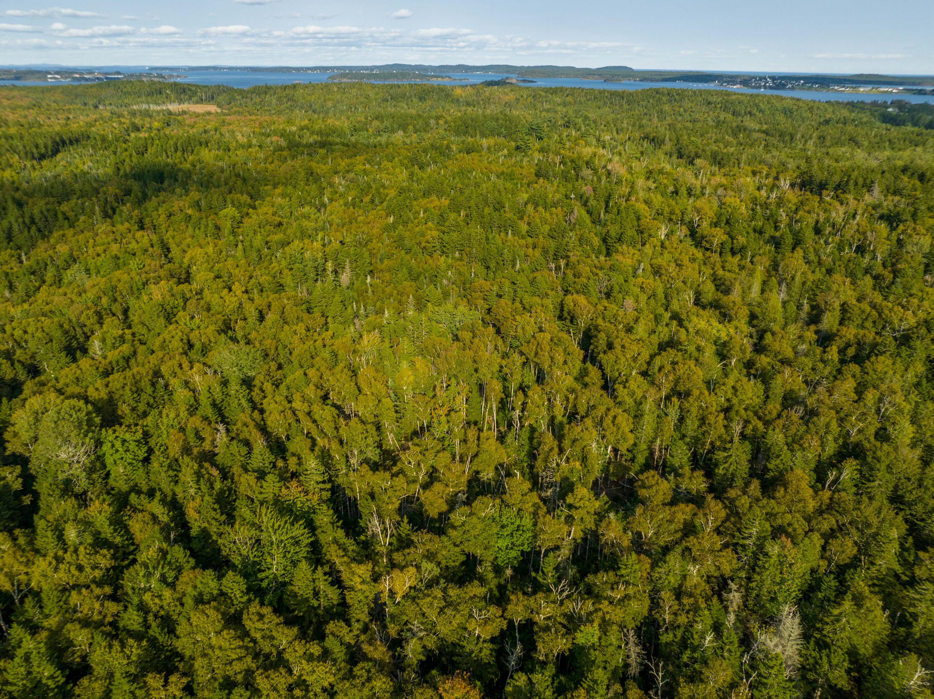 450 North Lubec Road Lubec, ME 04652 - Photo 20 of 36 450 North Lubec Rd. (5 of 41)
