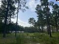 7 White Pond Road, Unit PTG 7 Williston, SC 29853 - Photo 8 of 12 590677-0301b19c-731a-4b35-8ac3-d5fec5503