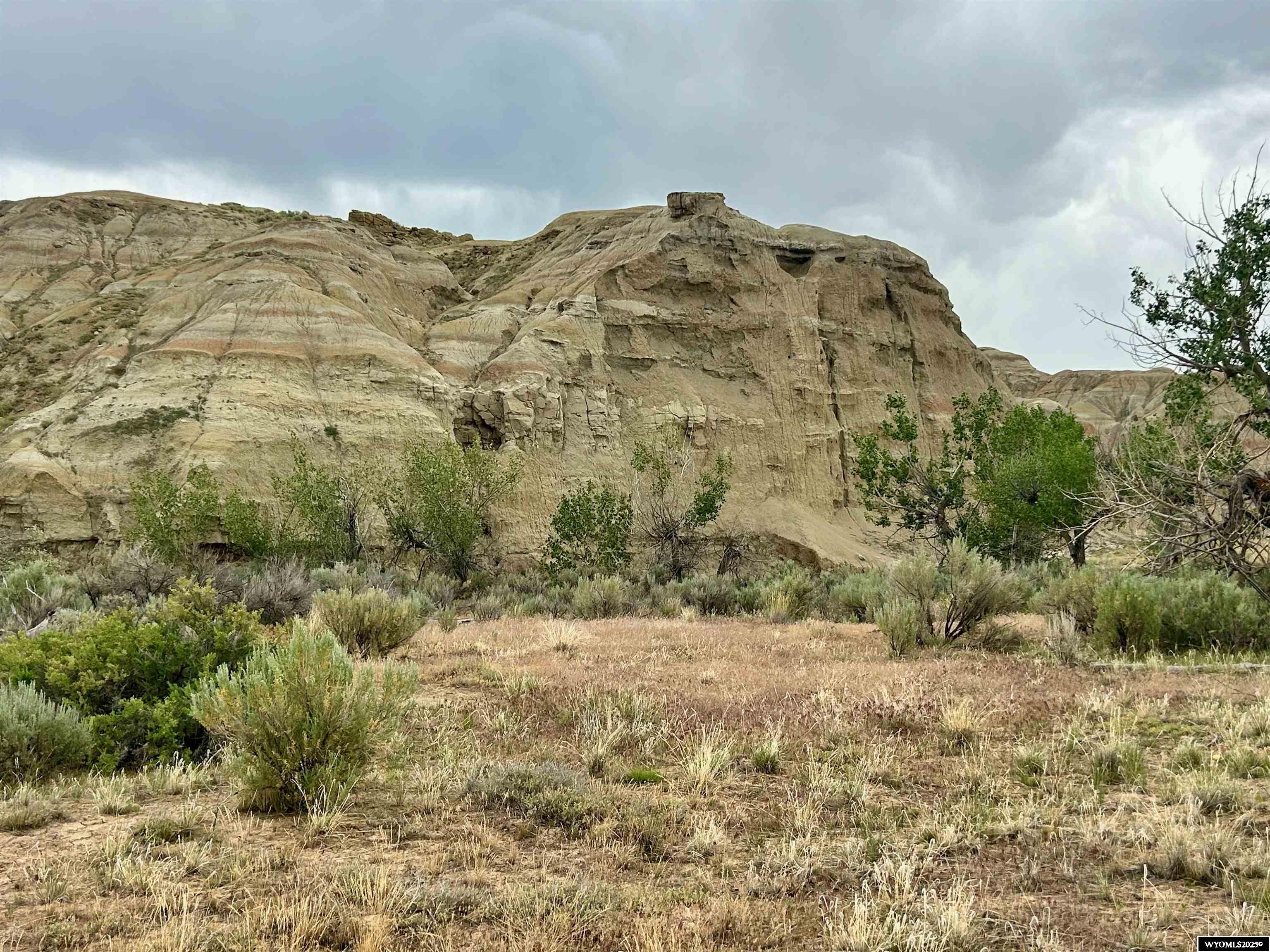 1242 Highway 20 Basin, WY 82410 - Photo 42 of 49