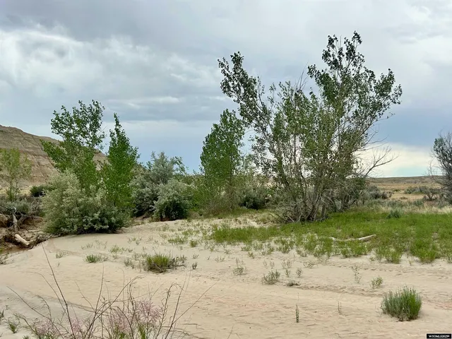 $330,000 | 1242 Highway 20, Basin, WY 82410