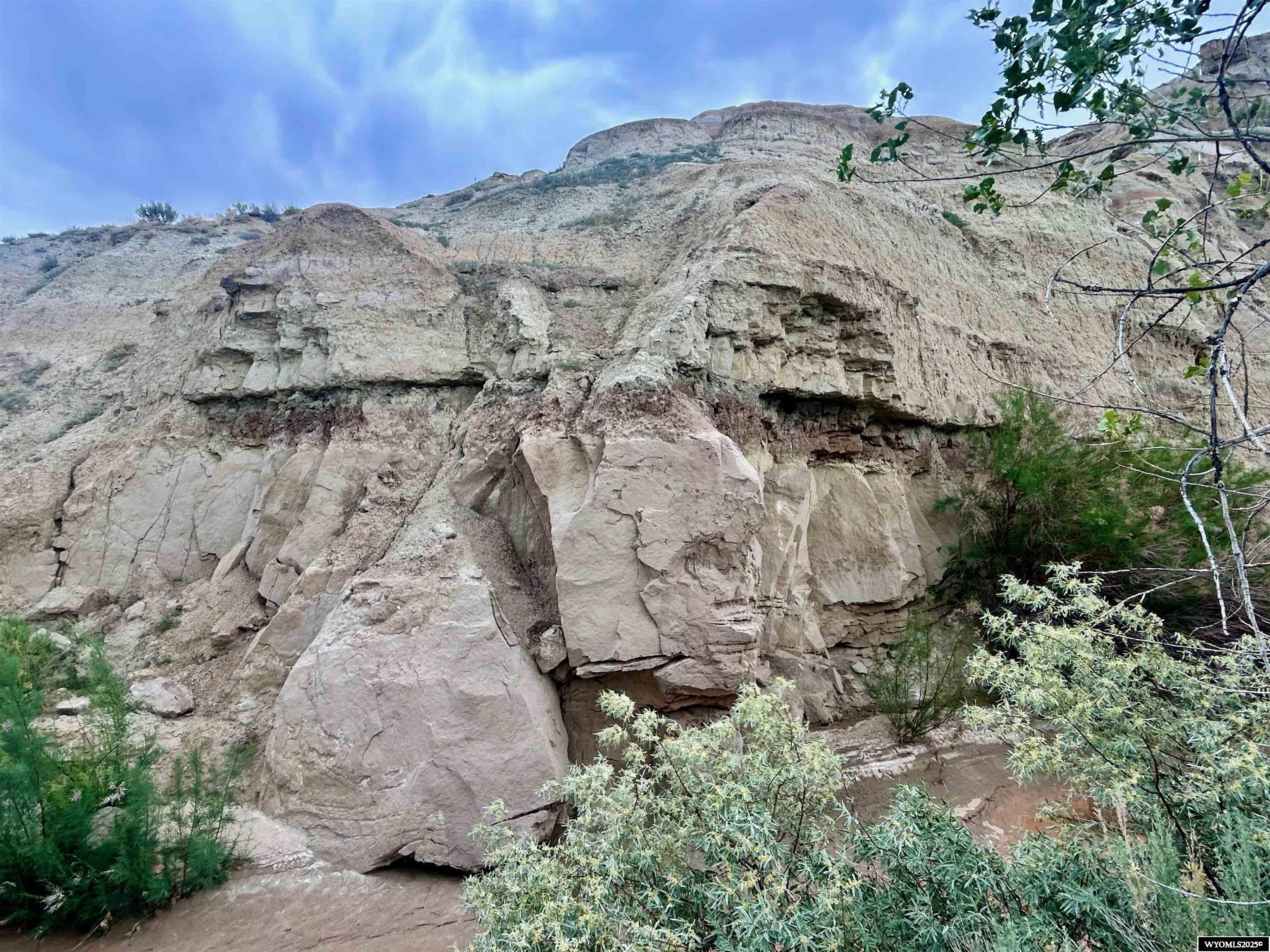 1242 Highway 20 Basin, WY 82410 - Photo 44 of 49