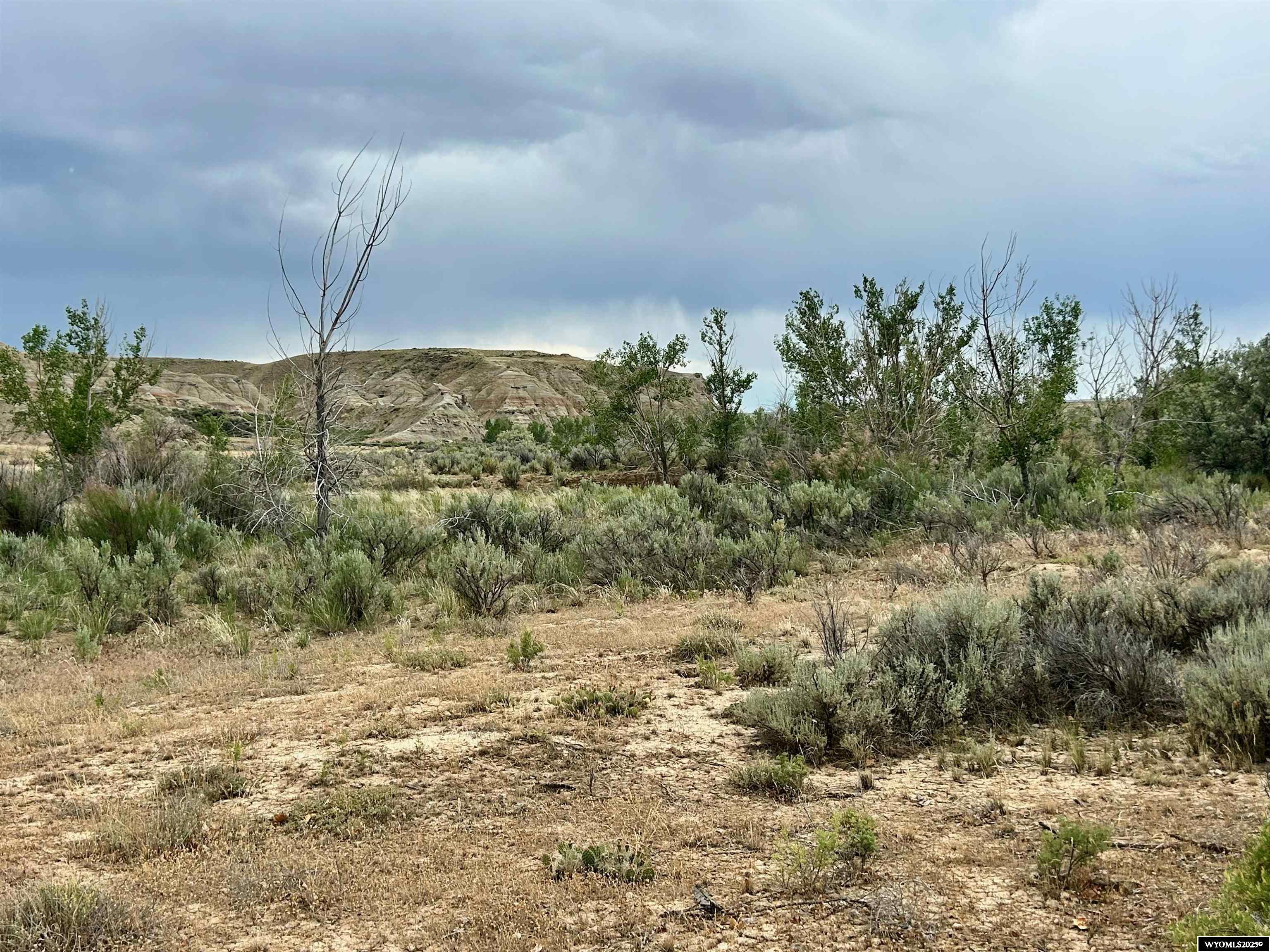 1242 Highway 20 Basin, WY 82410 - Photo 47 of 49