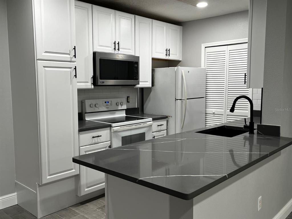 4352 South Kirkman Road, Unit 1203 Orlando, FL 32811 - Photo 8 of 27 Kitchen with new cabinets and granite countetops