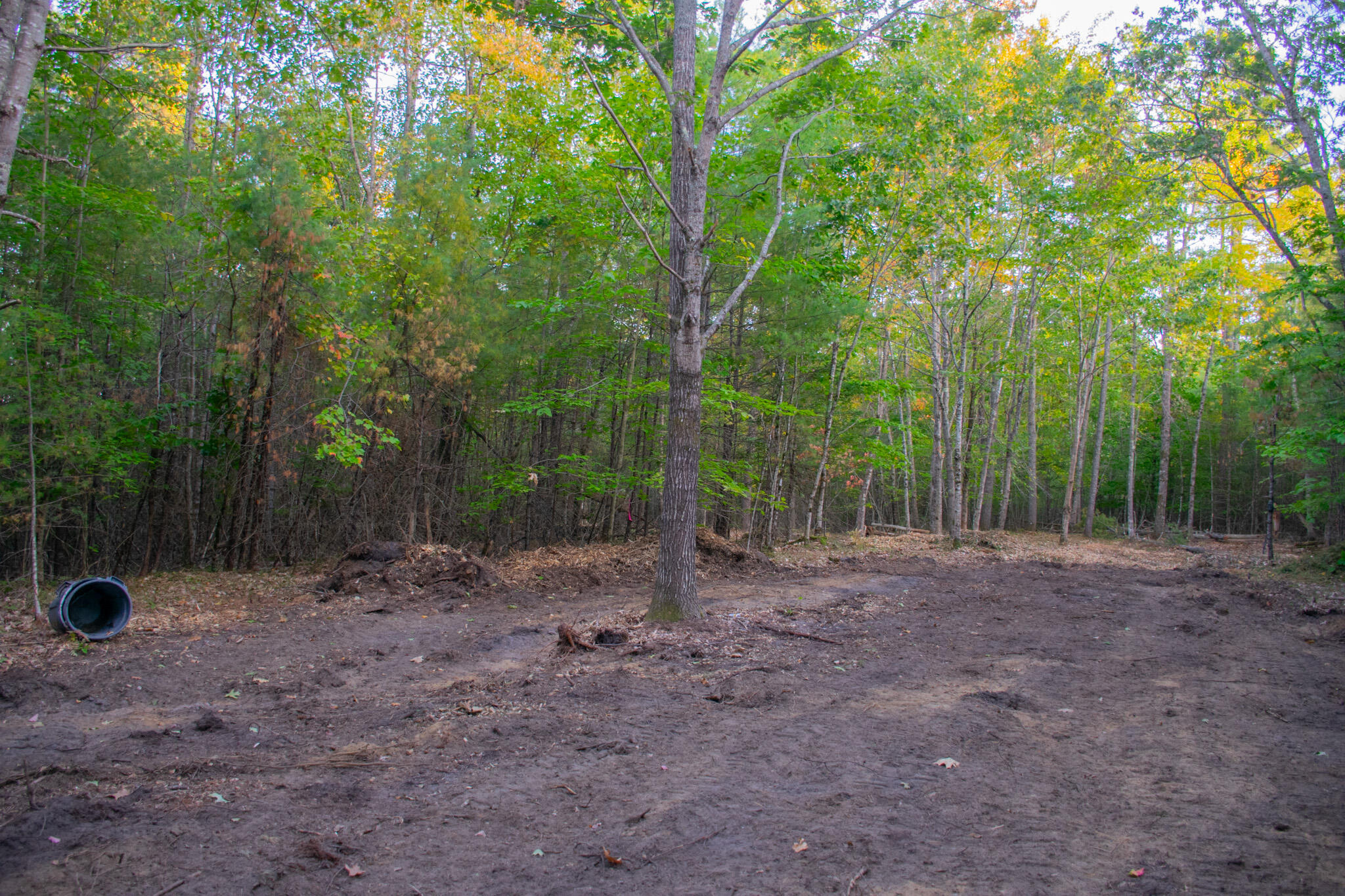 Tbd New Dam Road North Waterboro, ME 04061 - Photo 13 of 24 DSC_0143
