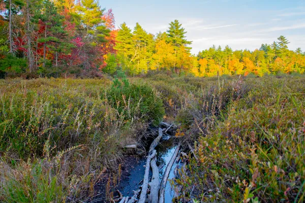 $165,000 | Tbd New Dam Road, North Waterboro, ME 04061