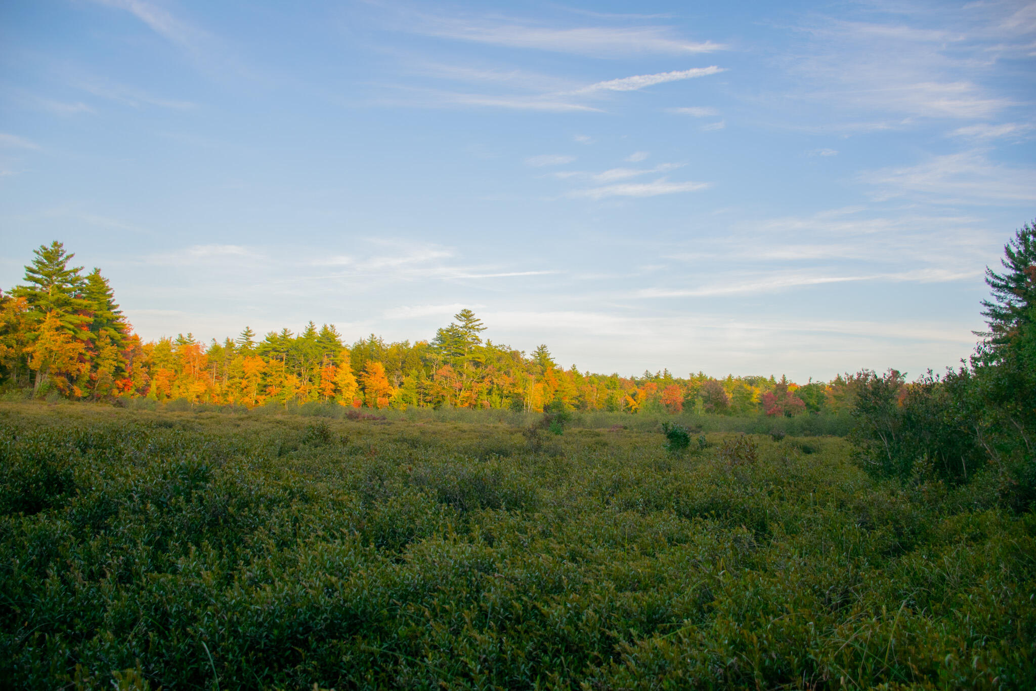 Tbd New Dam Road North Waterboro, ME 04061 - Photo 2 of 24 DSC_0152