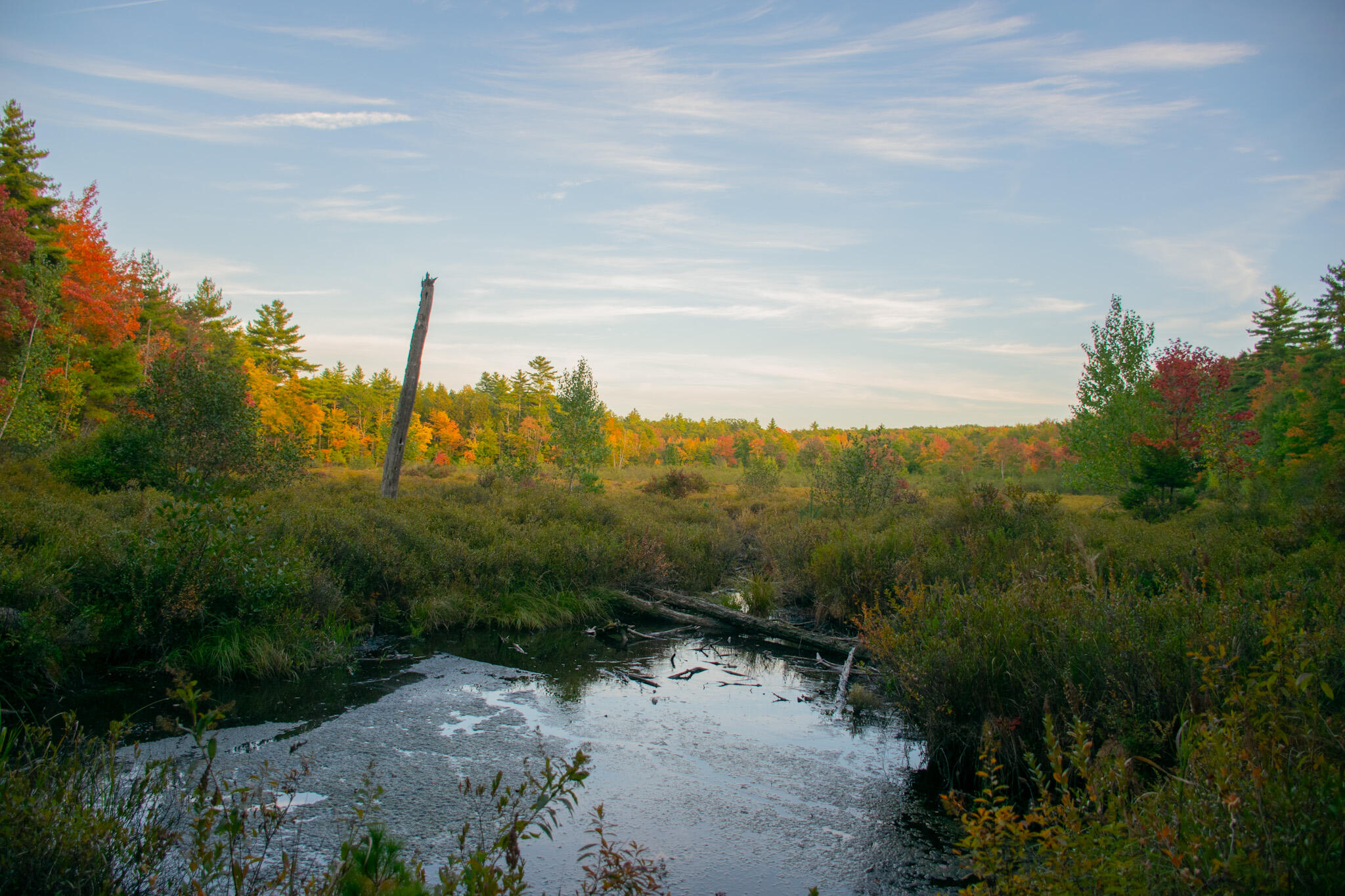 Tbd New Dam Road North Waterboro, ME 04061 - Photo 21 of 24 DSC_0161