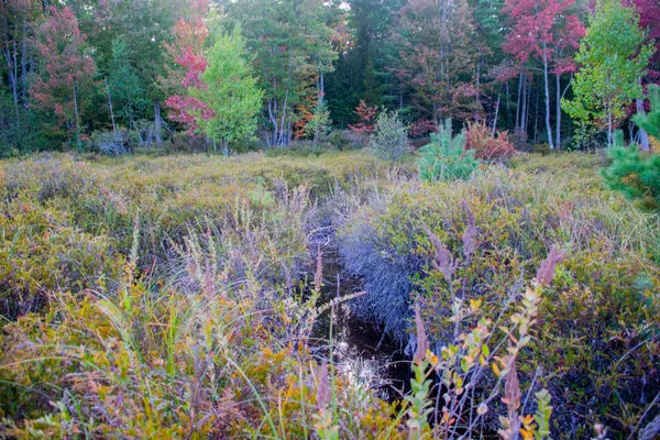 $165,000 | Tbd New Dam Road, North Waterboro, ME 04061