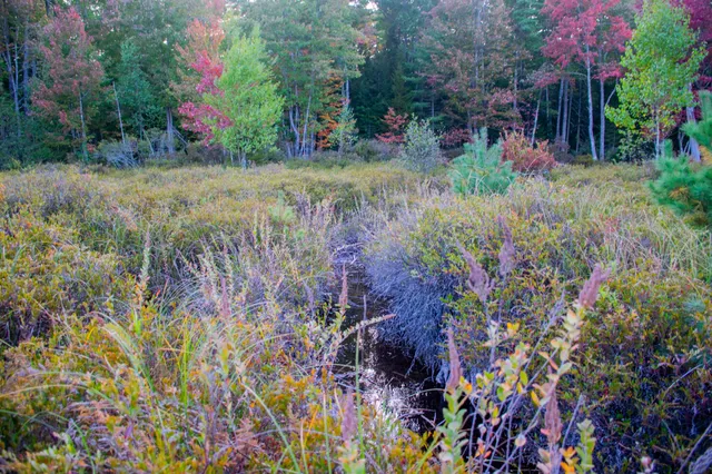 $170,000 | Tbd New Dam Road, North Waterboro, ME 04061