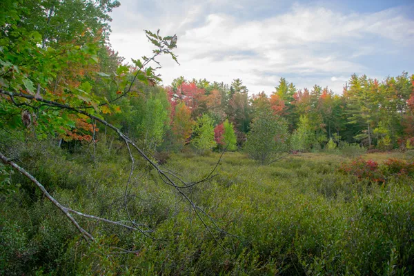 $165,000 | Tbd New Dam Road, North Waterboro, ME 04061