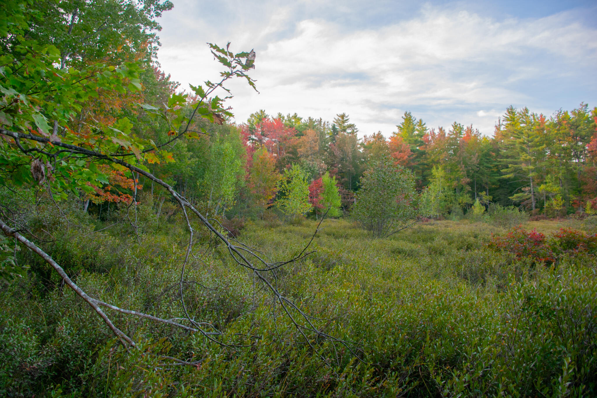 Tbd New Dam Road North Waterboro, ME 04061 - Photo 24 of 24 DSC_0149