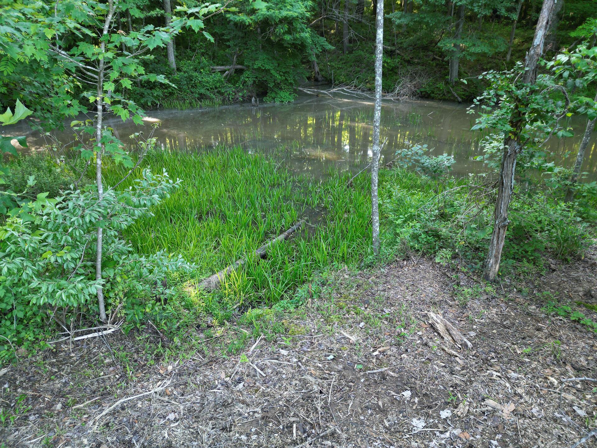 0 Sand Ridge Road, Unit ALBANY HIDEAWAY TRACT 2) Albany, OH 45710 - Photo 12 of 16