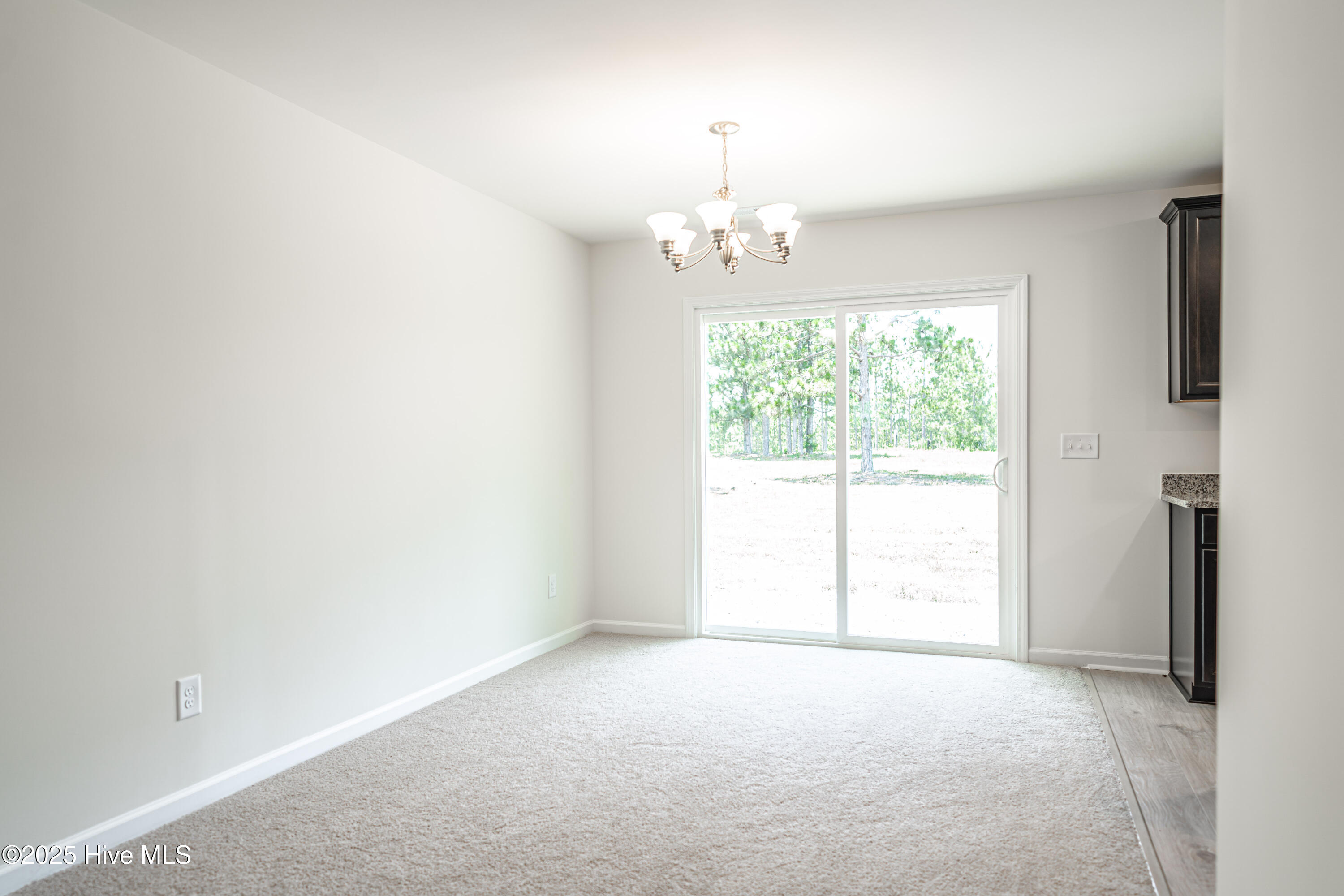 481 Peggy Mill Road Hamlet, NC 28345 - Photo 20 of 38 DSC00056