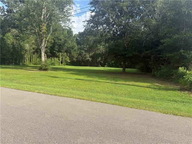 Tbd McManus Road Tickfaw, LA 70466 - Photo 3 of 3