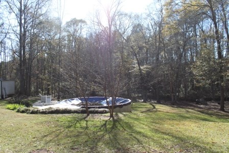 726 Shirey Road Manchester, GA 31816 - Photo 18 of 25 Gallery Image 18