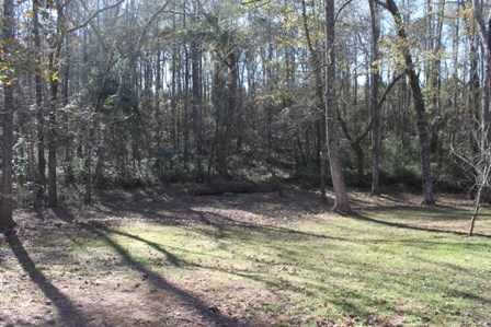 726 Shirey Road Manchester, GA 31816 - Photo 20 of 25 Gallery Image 20