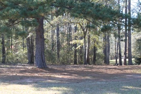 726 Shirey Road Manchester, GA 31816 - Photo 23 of 25 Gallery Image 23