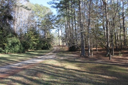 726 Shirey Road Manchester, GA 31816 - Photo 24 of 25 Gallery Image 24