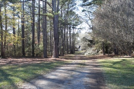 726 Shirey Road Manchester, GA 31816 - Photo 25 of 25 Gallery Image 25