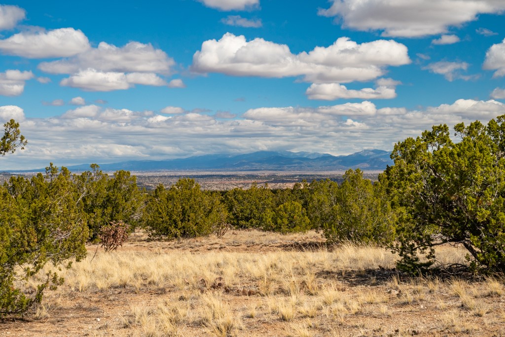 Tbd Hanuman Road Cerrillos, NM 87010 - Photo 22 of 33