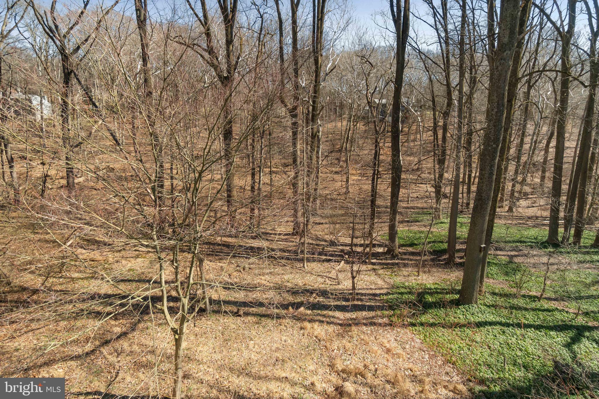 17 Mars Road Newark, DE 19711 - Photo 28 of 29