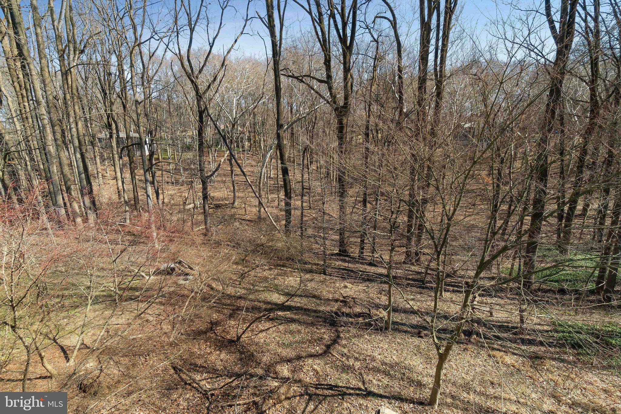 17 Mars Road Newark, DE 19711 - Photo 29 of 29