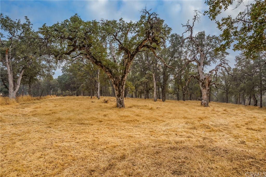6718 Rancheria Creek Road Midpines, CA 95345 - Photo 29 of 33 Gallery Image 29