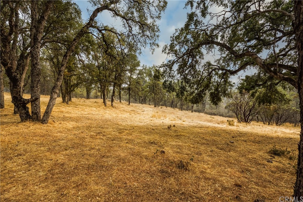 6718 Rancheria Creek Road Midpines, CA 95345 - Photo 33 of 33 Gallery Image 33
