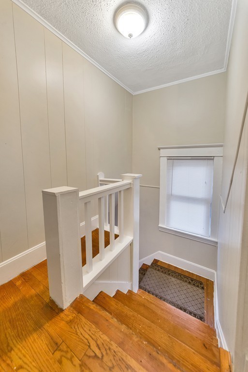 334 Chapin Terrace Springfield, MA 01104 - Photo 10 of 23 Gallery Image 10