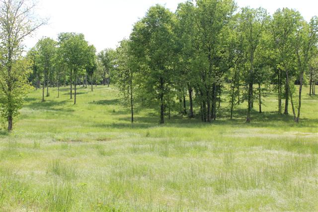 0 Bunker Hill Road Eagleville, TN 37060 - Photo 1 of 6 Gallery Image 1