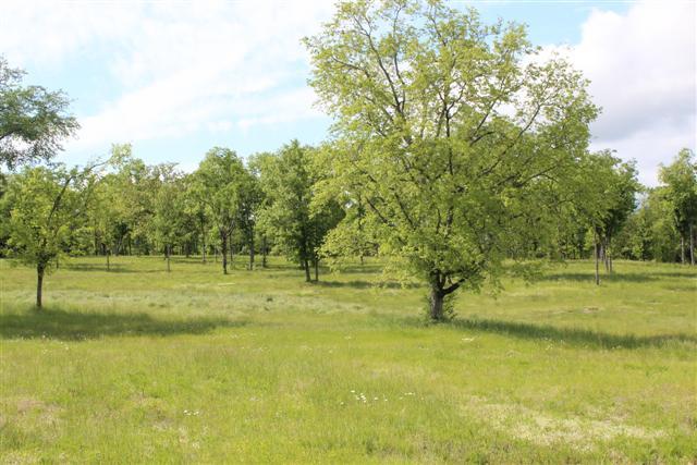 0 Bunker Hill Road Eagleville, TN 37060 - Photo 4 of 6 Gallery Image 4