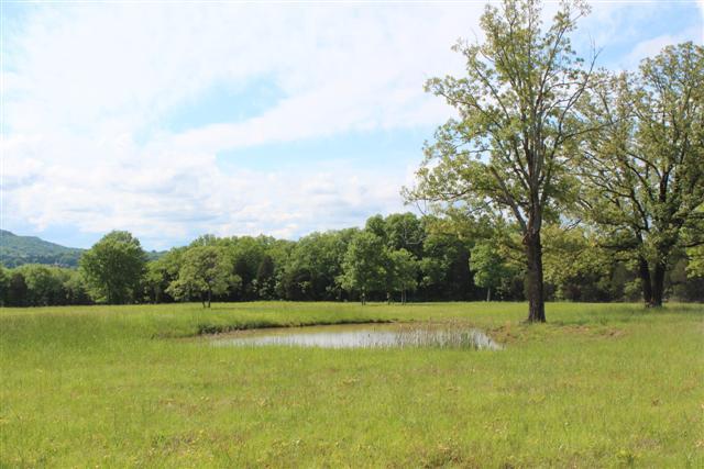0 Bunker Hill Road Eagleville, TN 37060 - Photo 6 of 6 Gallery Image 6