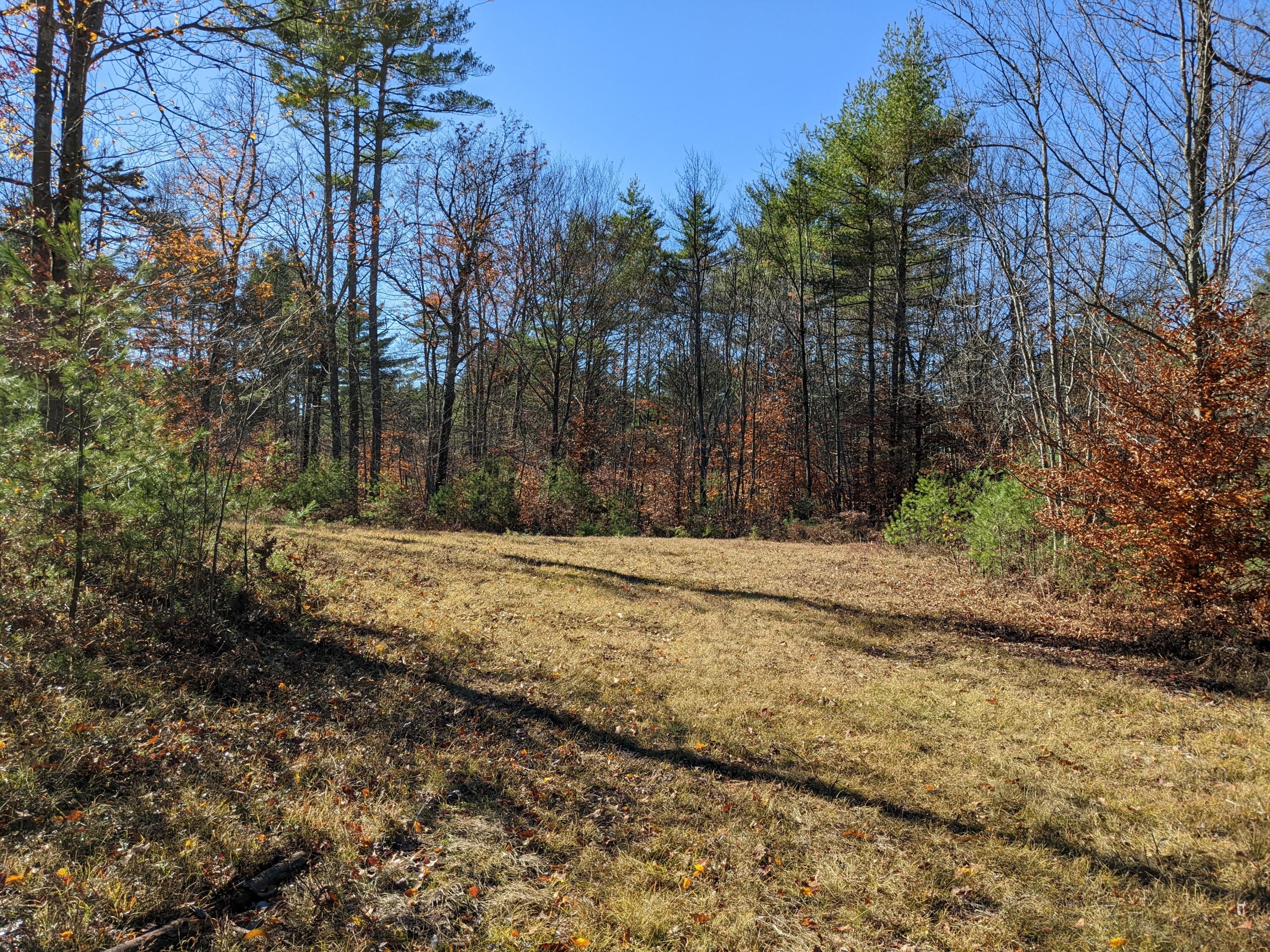 Lot # Highland Park Road Fryeburg, ME 04037 - Photo 3 of 15 Looking toward cleared area lot C