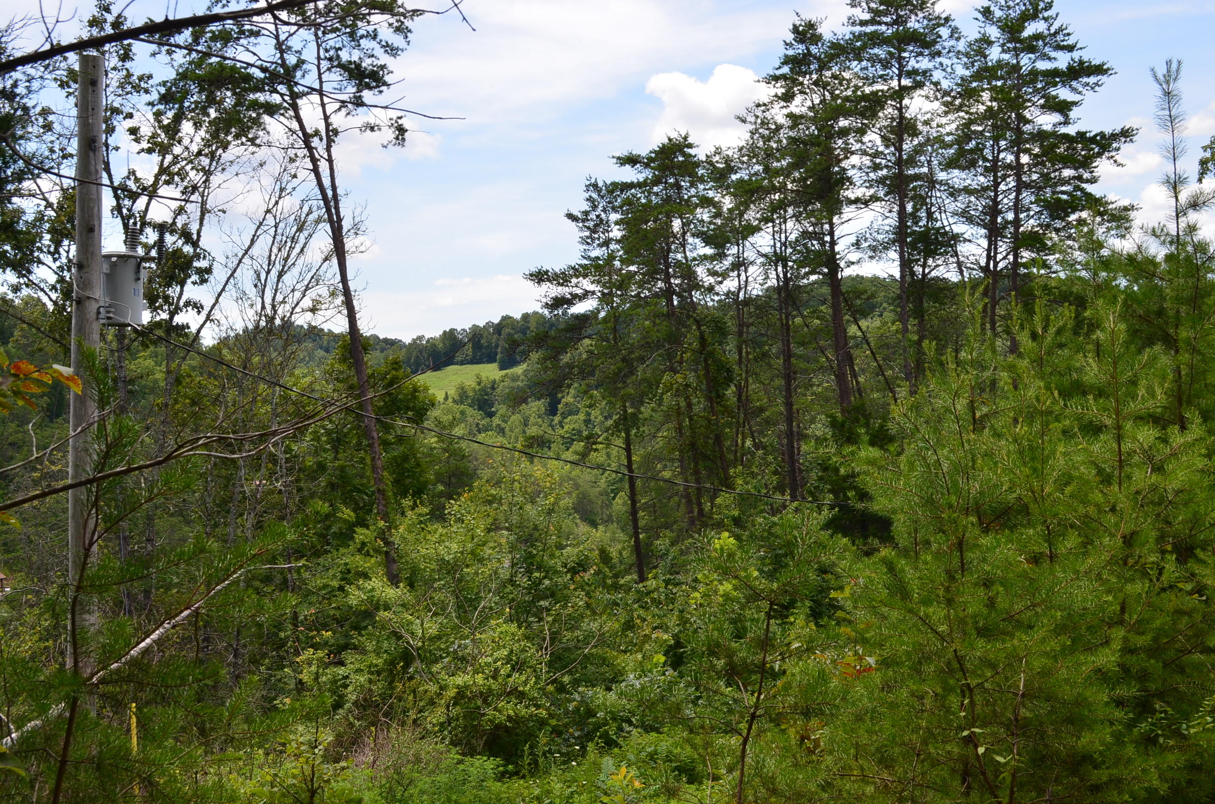 11.6-acres Little Caney Valley Road Tazewell, TN 37879 - Photo 12 of 28 DSC_0988