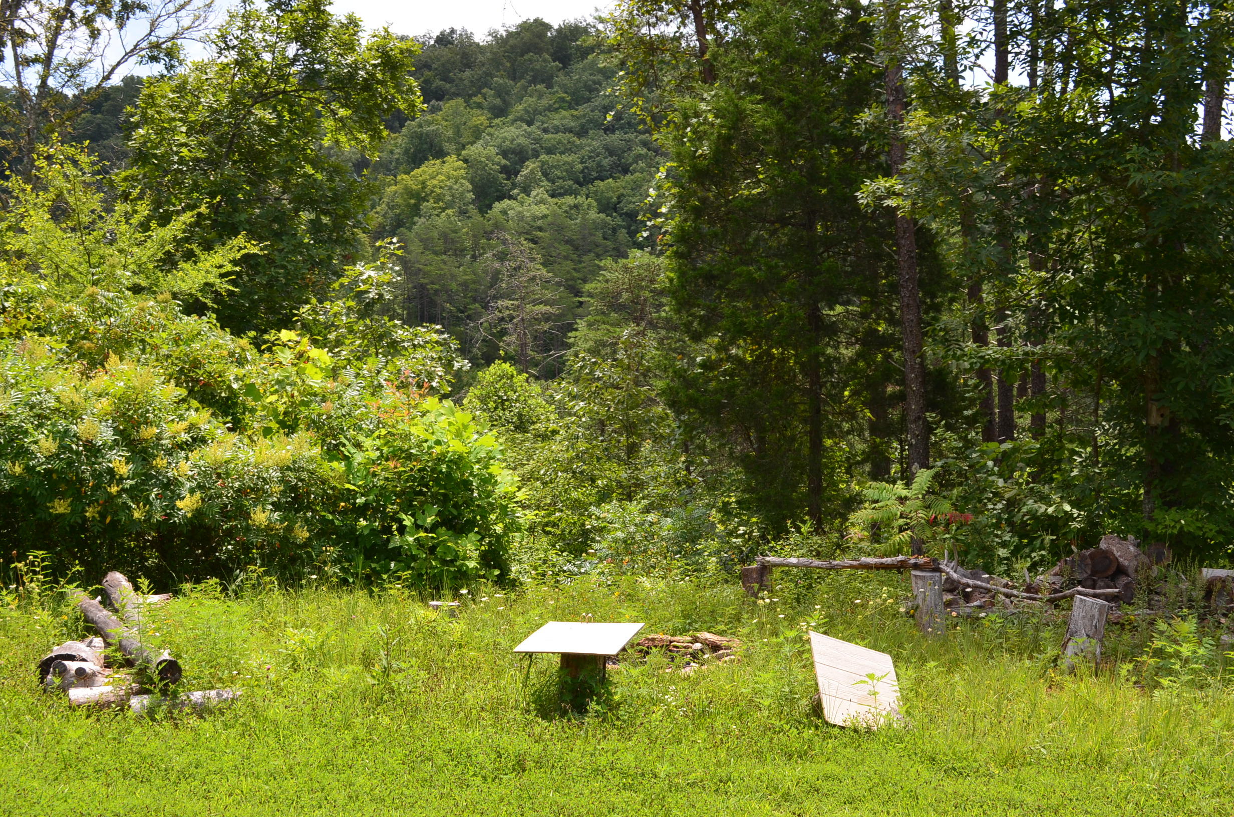 11.6-acres Little Caney Valley Road Tazewell, TN 37879 - Photo 18 of 28 DSC_0995