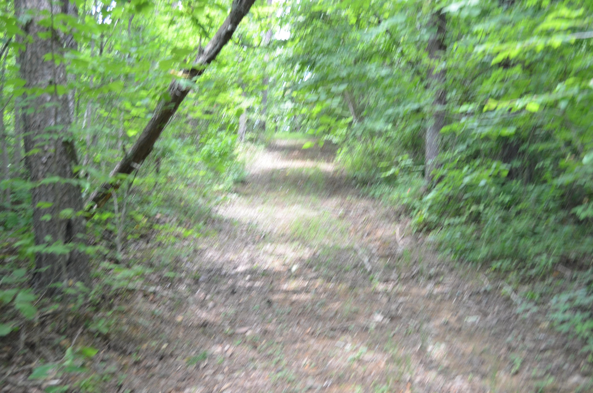 11.6-acres Little Caney Valley Road Tazewell, TN 37879 - Photo 3 of 28 DSC_0991
