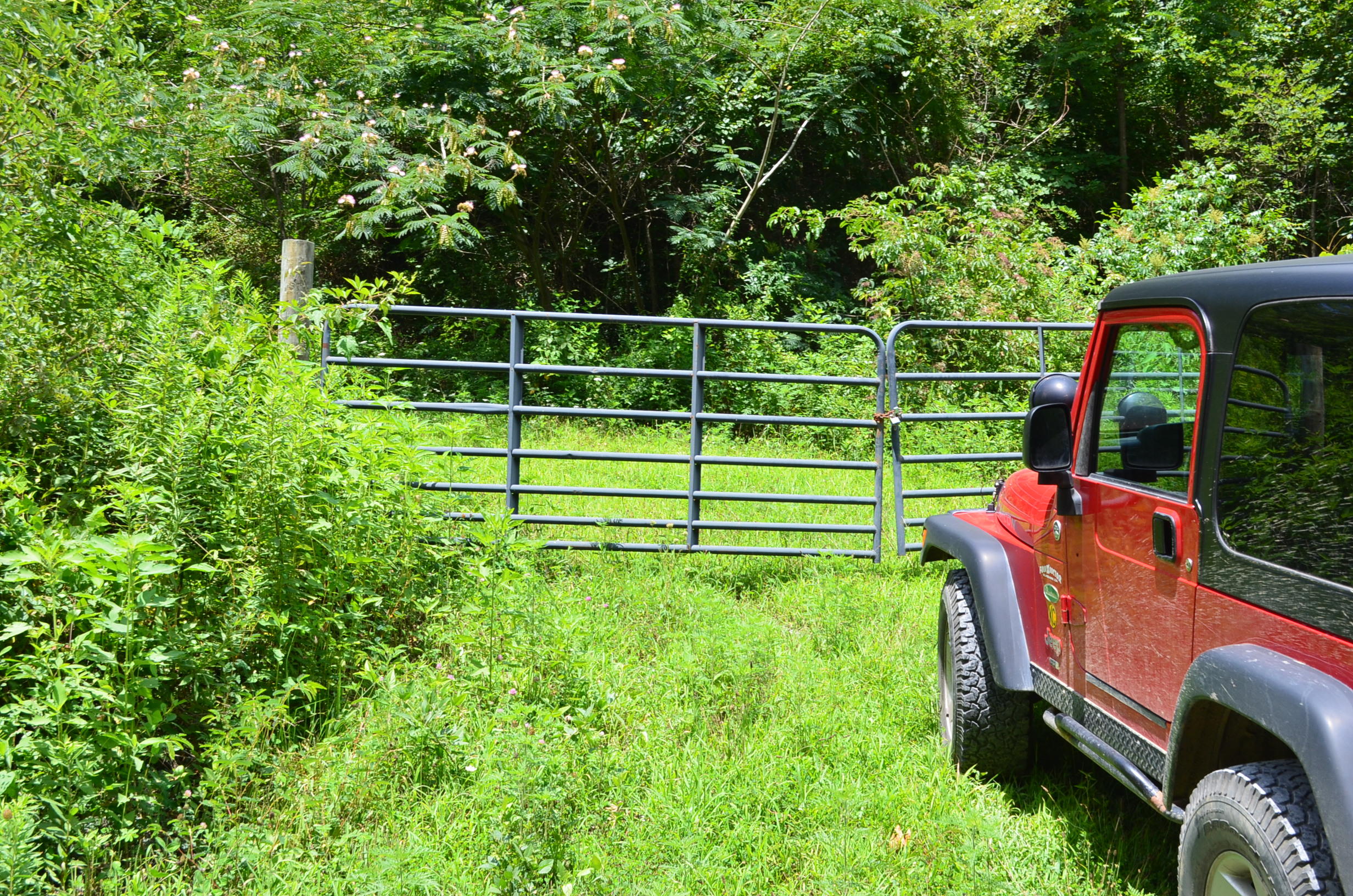 11.6-acres Little Caney Valley Road Tazewell, TN 37879 - Photo 27 of 28 DSC_1005