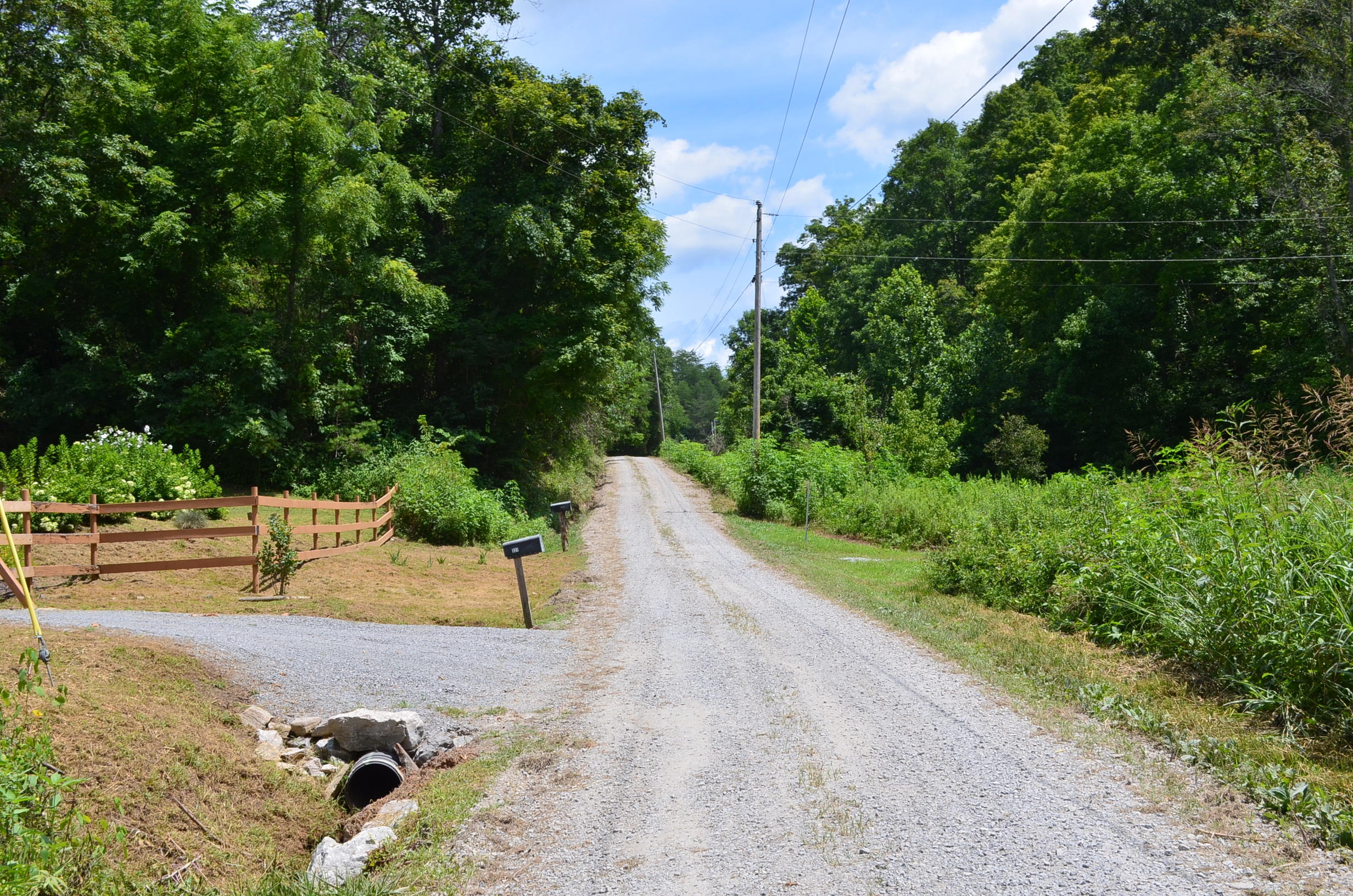 11.6-acres Little Caney Valley Road Tazewell, TN 37879 - Photo 28 of 28 DSC_1006