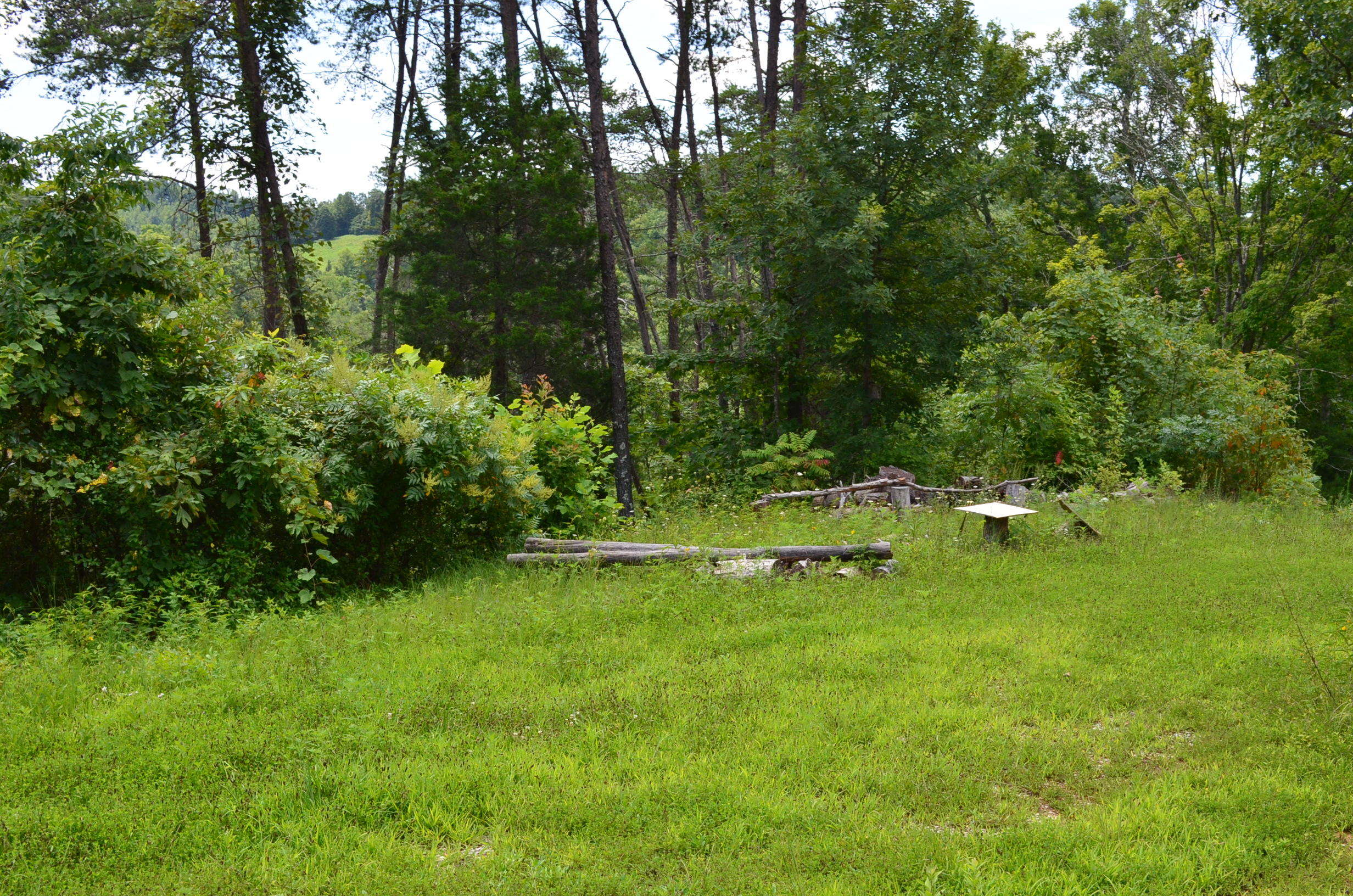 11.6-acres Little Caney Valley Road Tazewell, TN 37879 - Photo 10 of 28 DSC_0986
