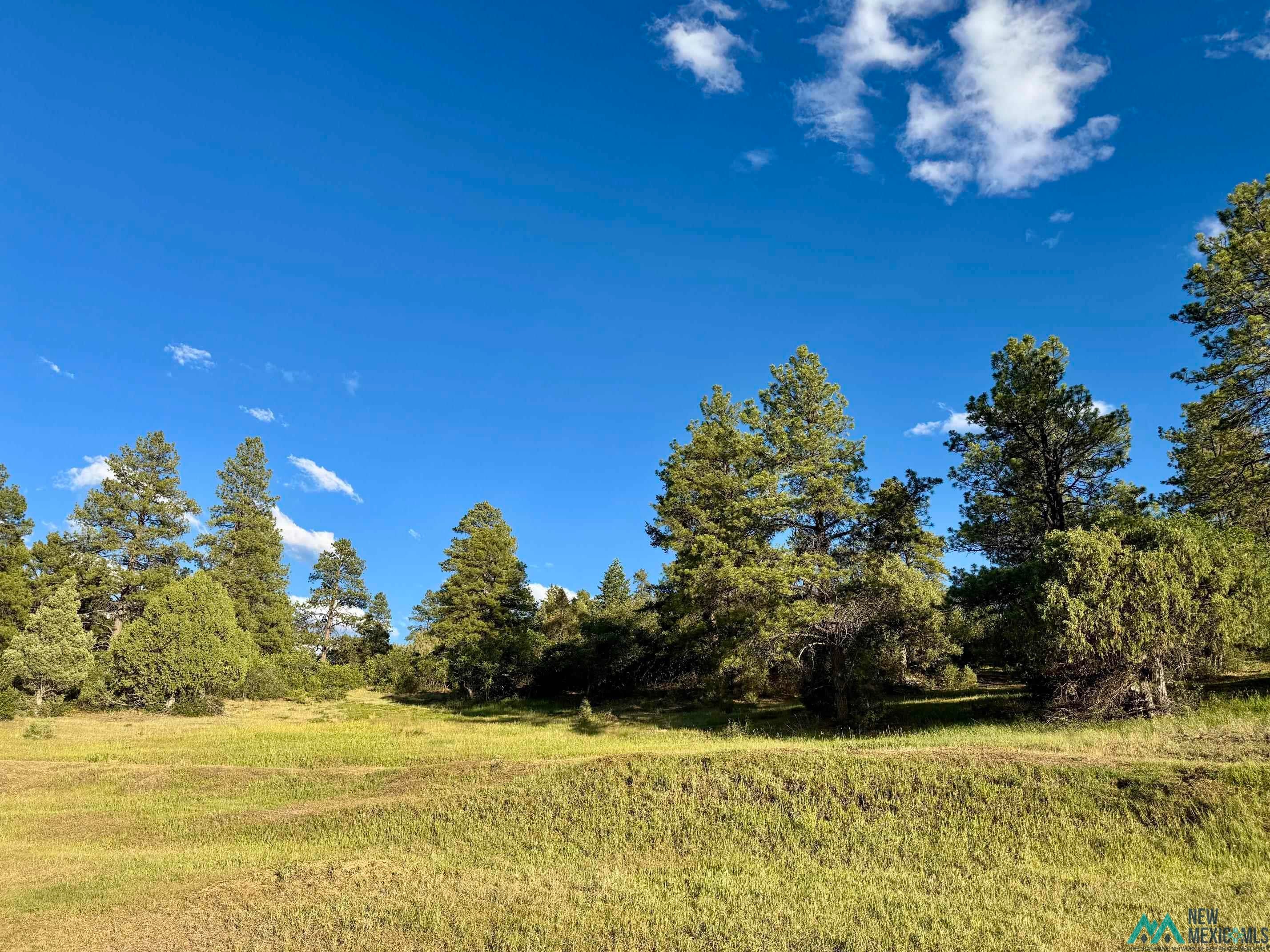 1788 Rd Chama Nm 87520 Road Chama, NM 87520 - Photo 2 of 13 Gallery Image 2