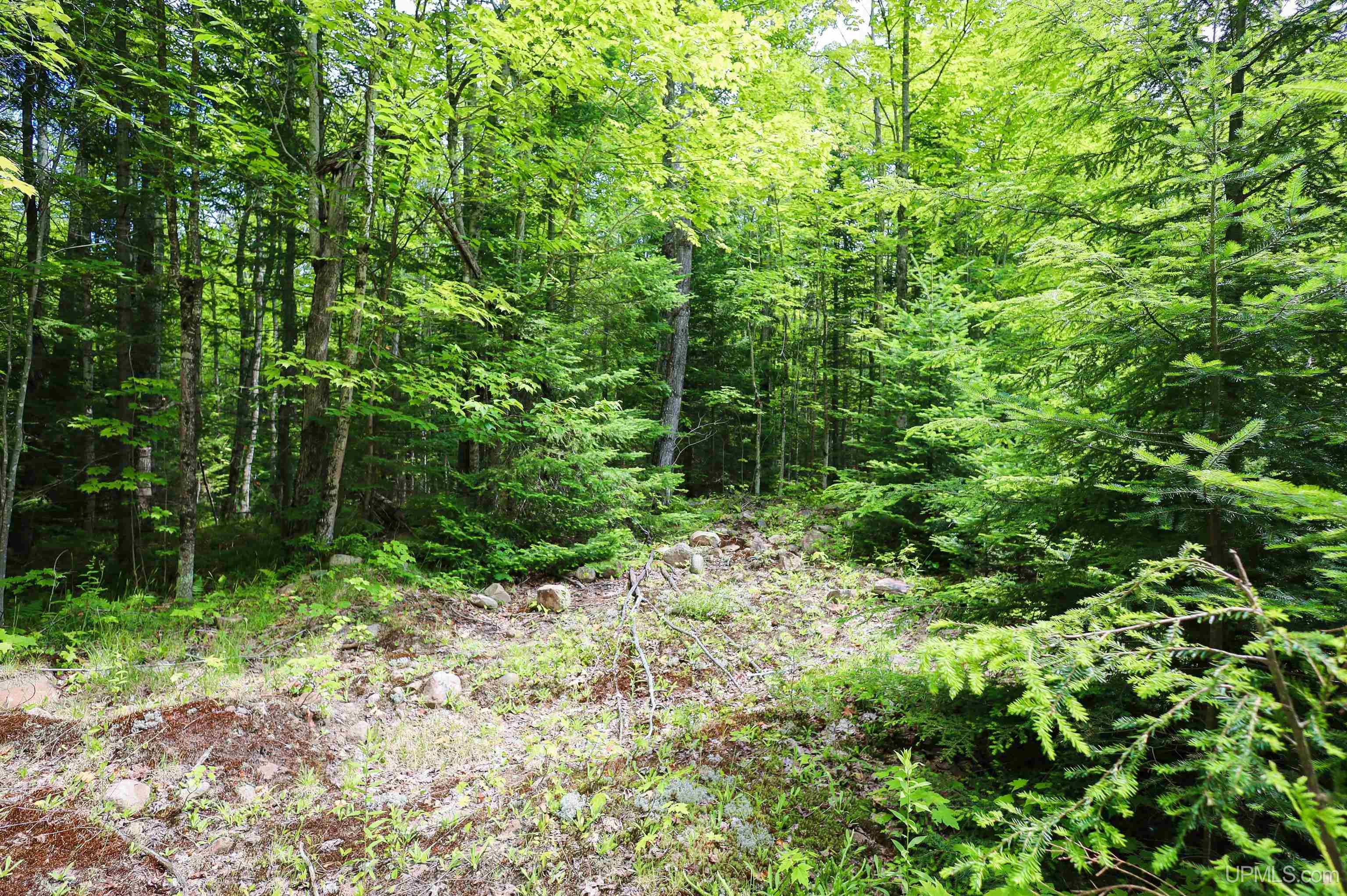 Tbd Sigan Road Marquette, MI 49855 - Photo 25 of 32
