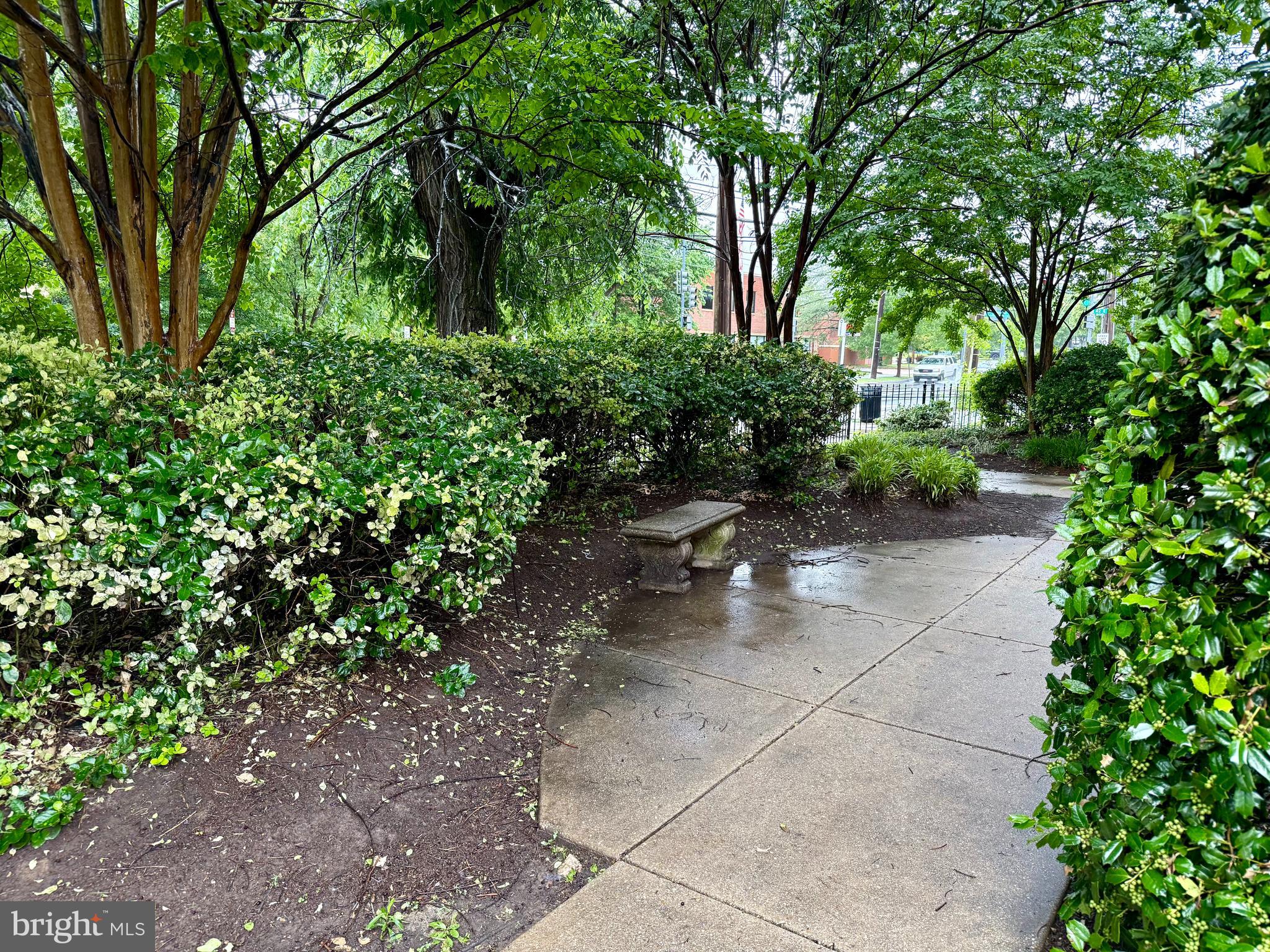 4212 Benning Road Northeast, Unit 6 Washington, DC 20019 - Photo 19 of 21 a backyard of a house with lots of green space