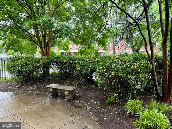 a view of a bench in the garden