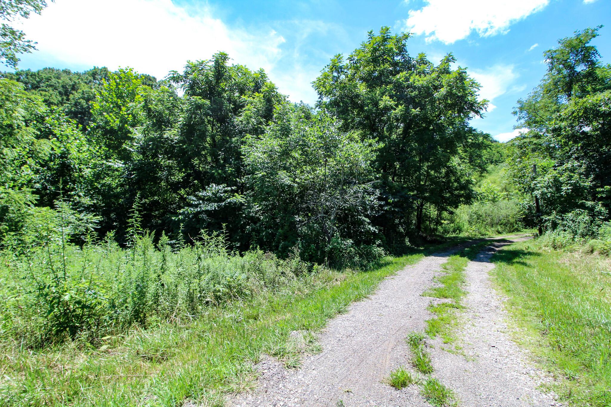 380 Virginia Ridge Road Philo, OH 43771 - Photo 2 of 21 IMG_4935