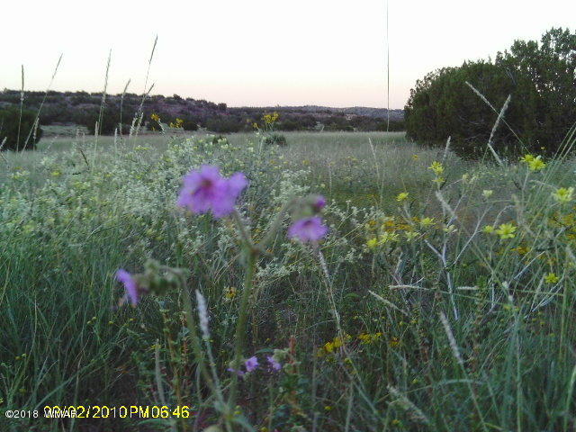 Tbd Tbd Concho, AZ 85924 - Photo 3 of 12