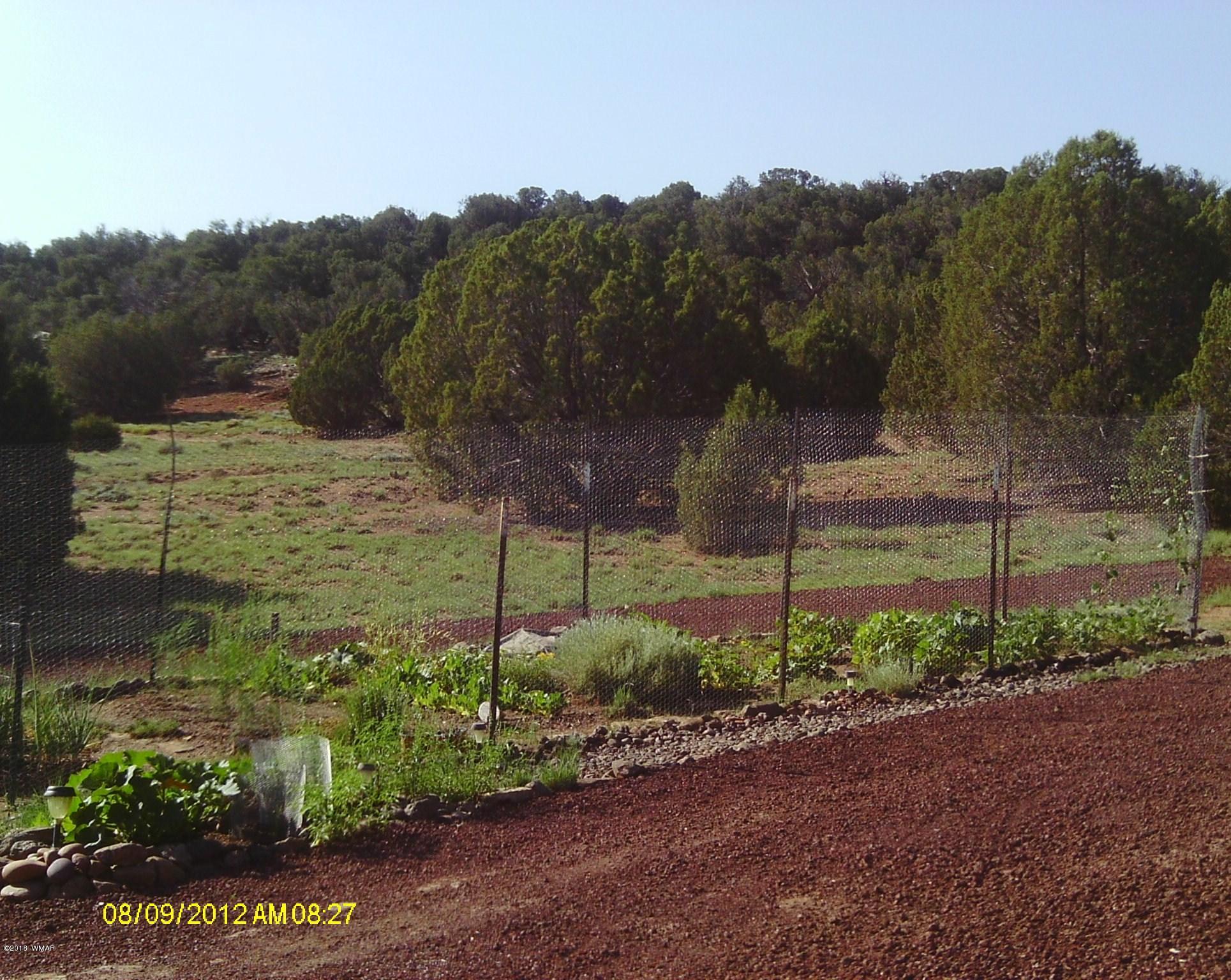 Tbd Tbd Concho, AZ 85924 - Photo 4 of 12
