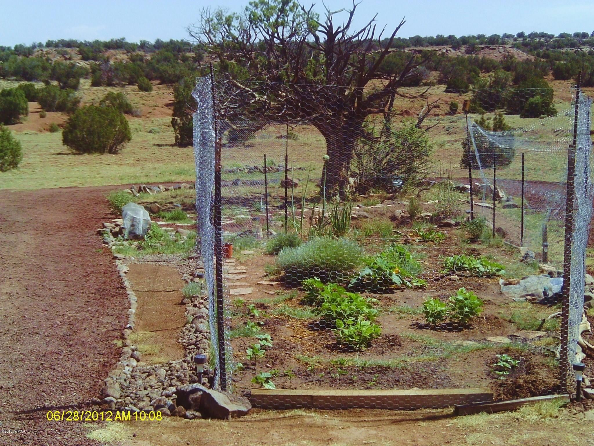 Tbd Tbd Concho, AZ 85924 - Photo 5 of 12