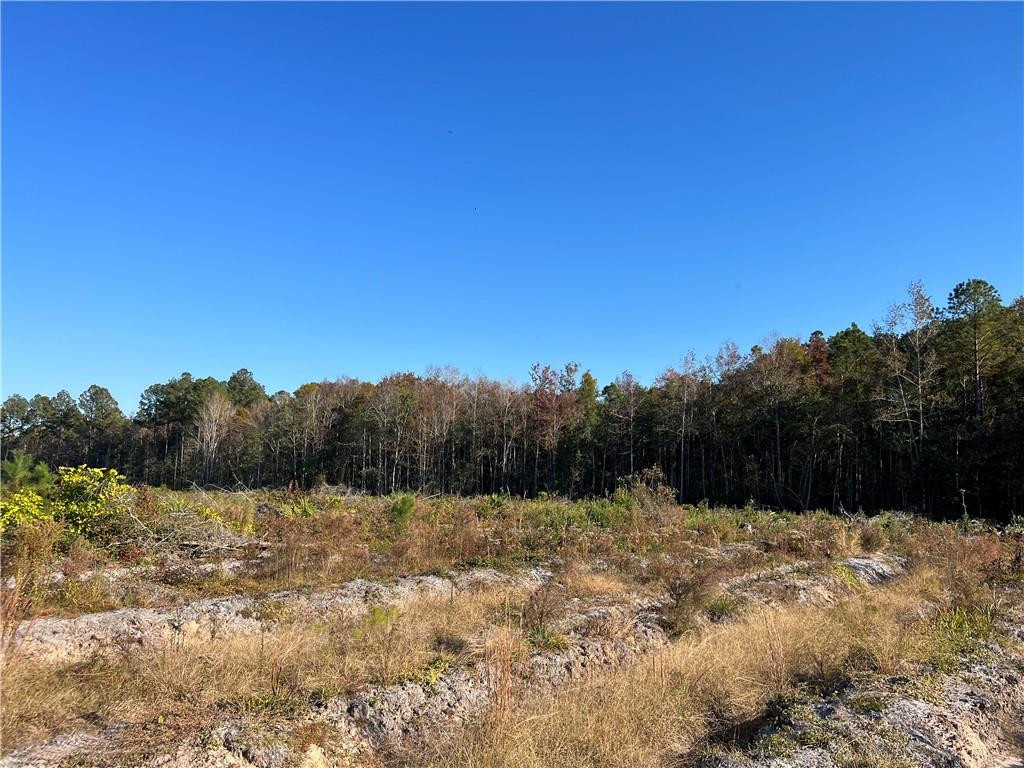 99 Highway 99 Townsend, GA 31331 - Photo 11 of 36