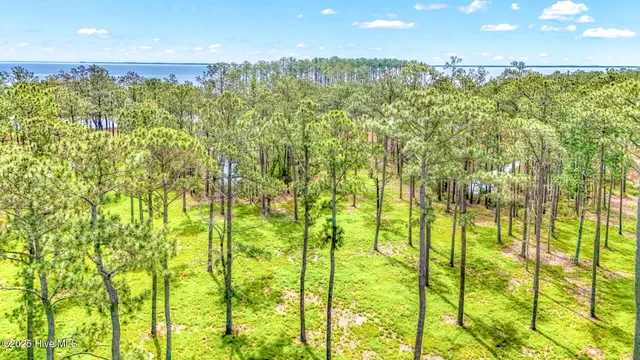 $375,000 | 203 River Watch Road, Oriental, NC 28571